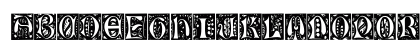 RoseyCapsFinal57 Regular Uppercase Preview