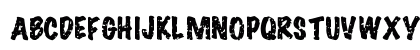 Se?or Domingo Regular Preview