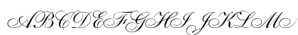 ShelleyAllegroScript RomanItalic Uppercase Preview