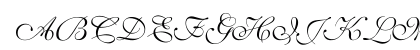 Shelley-VolanteScript Regular Preview