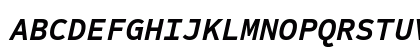 Sometype Mono Bold Italic Uppercase Preview
