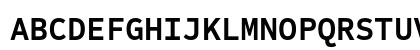 Sometype Mono Bold Uppercase Preview
