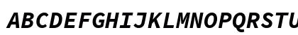 Source Code Pro Bold Italic Preview