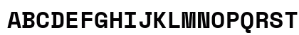 Space Mono Bold Uppercase Preview