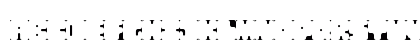 Squarescribed Regular Preview