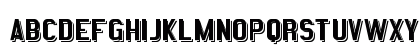 Statement Shadow Regular Preview