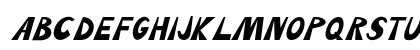 Terrier Italic Preview