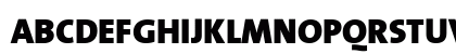 The Sans Black- Black Preview