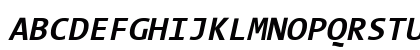 The Sans Mono- Bold Italic Preview