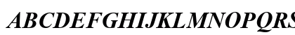 Times New Roman Bold Italic Preview