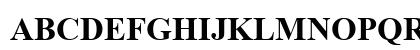 Times New Roman Bold Preview