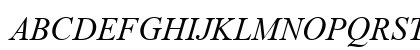Times New Roman Italic Preview