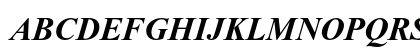 Times New Roman PS Bold Italic Uppercase Preview