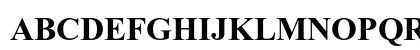 Times New Roman Bold Preview