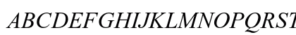 Times New Roman PS Italic Preview