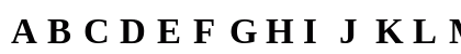 Tinos NF Bold Uppercase Preview