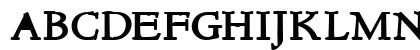 NewStyle Bold Preview