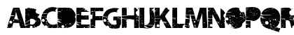 tramyad Semi-expanded Bold Uppercase Preview