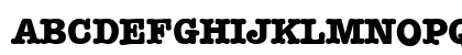 TypewriterExpert Bold Preview