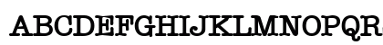 Typist Bold Preview