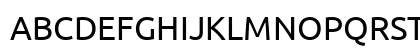 Ubuntu Nerd Font Book Uppercase Preview