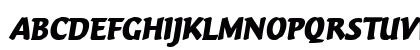 Vario Com Italic Preview