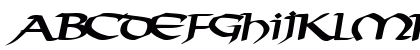 VectorType124 Bold Uppercase Preview