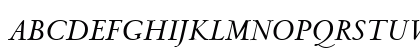 Venetian Bold Italic Preview