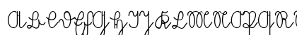 Volk Redis Regular Preview