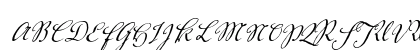 Voluta Script Pro Regular Uppercase Preview