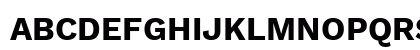 Work Sans Bold Preview