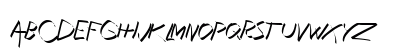 Xaligraphy ThinItalic Uppercase Preview