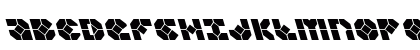Zoom Runner Leftalic Italic Preview