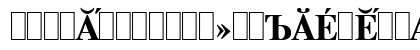 TimesET Chuvash Bold Uppercase Preview