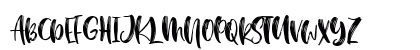 BostonBruins script font duo Regular Uppercase Preview