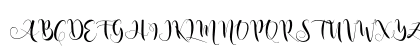 nicole script Regular Uppercase Preview