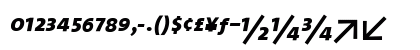 TheSans Bold Italic Uppercase Preview