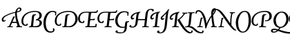 NexusSerif-ItalicSwashOne Regular Preview