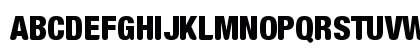 New Regular Preview
