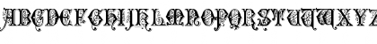 Flower Regular Font