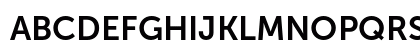 Museo Sans 700 Uppercase Preview
