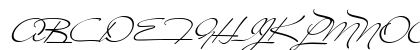 Carolina Regular Uppercase Preview