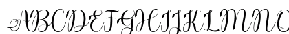 Dona Doni Script Regular Uppercase Preview