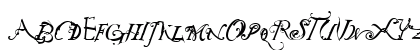 NotCaslonOne Regular Preview