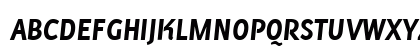 PF Muse Bold Italic Preview