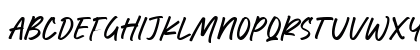 Write Marker Regular Uppercase Preview