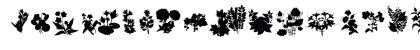 Dead Plants Regular Uppercase Preview