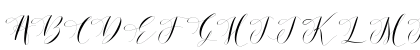 Donita Handscript Demo Regular Uppercase Preview