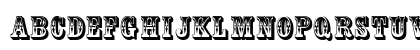 Country Western Regular Uppercase Preview