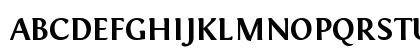 Fontin Bold Uppercase Preview